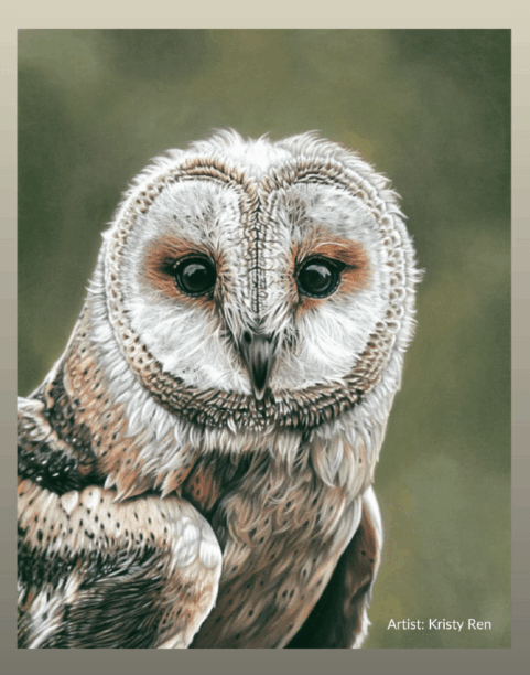 Flights of Fancy Fundraiser Flyer for Cascades Raptor Center
